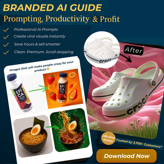INDIA'S BEST SELLING AI PRODUCT PROMPT GUIDE (IMAGE + VIDEO)